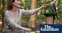 Sirens: Julianne Moore and Meghann Fahy have acres of fun in this wild White Lotus-esque bingefest