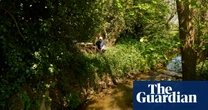 Pesticides, antibiotics, animal medicines: the chemical cocktail seeping into our rivers
