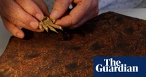 ‘Turning point’: claw print fossils found in Australia rewrite story of amniotes by 40 million years