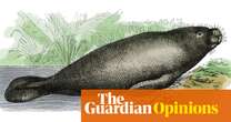 A manatee: Imagine eating lettuce under water | Helen Sullivan