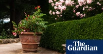 Nearly half of UK garden space is paved over, RHS study finds
