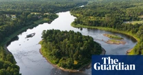 ‘It’s an all-you-can-eat buffet’: striped bass in a Canadian river are gobbling up all the salmon. Is a mass cull the answer?