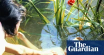 Australian musicians sound warning note after Nick Cave, Kylie and many more slurped into AI training tool