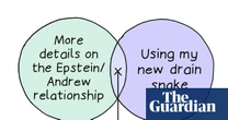 From Epstein and Prince Andrew to a drain snake: Edith Pritchett’s week in Venn diagrams – cartoon