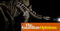 The super-rich are buying up dinosaur bones – and now they want our near-perfect Stegosaurus | David Hone