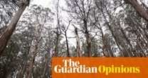 Biodiversity is in catastrophic decline. Here are three ways to ensure Australia’s conservation law actually works | Atticus Fleming and Andrew Macintosh