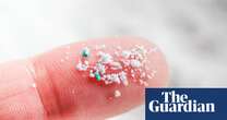 Microplastics can block blood vessels in mice brains, researchers find