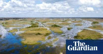 ‘Contract that never was’ adds twist to scientist’s fight over Everglades project