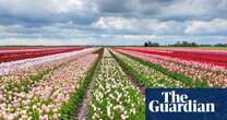 ‘I cycled through flower fields stretching as far as the eye can see’: readers’ favourite European spring breaks