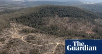State-owned Forestry Corporation charged with 29 offences related to failing to protect threatened species