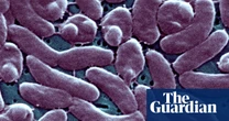 Louisiana reports five deaths from flesh-eating bacteria found in coastal waters