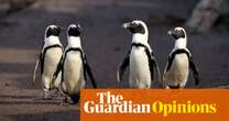 Scientists ignored 'gay' animals for years. When will we get over our human hang-ups about the natural world? | Elle Hunt