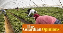 Spain’s economy is the envy of Europe, but the plight of its strawberry pickers tells another story | Tone Sutterud