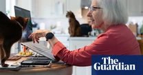 ‘I was watching osprey for five hours a day’: how the world fell in love with nature live streams