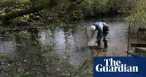 ‘Irreplaceable habitat’: planning bill raises fears for England’s chalk streams