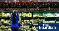 Britain ‘sleepwalking into a food crisis’ without urgent action, experts say