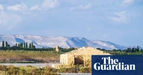 Pink flamingos and shimmering lemon groves: exploring Sicily’s Vendicari nature reserve