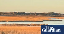 ‘A punch in the face’: Germany’s dash for gas raises questions over climate targets