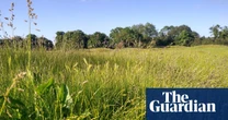 Court bid to prevent Spurs leasing rewilded London golf course fails