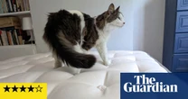 Can the Millbrook Wool Luxury 4000 mattress really keep you cool at night? I slept on it in a heatwave to find out