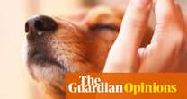 Many young people find safety in the soothing world of ASMR – imagine if we could give them that in the real world | Emma Beddington