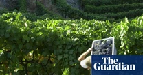 Why Portuguese red blends fly off the shelves | Hannah Crosbie on drinks