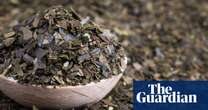 Psychology Psychedelic brew ayahuasca’s profound impact revealed in brain scans