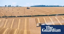 Biochar from human waste could solve global fertiliser shortages, study finds