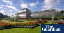 Kew Gardens’ tropical Palm House to shut for five years for net zero makeover