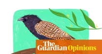 A pheasant coucal is a mass of contradictions: a bewildered bravo rolling through my house like a feathered wrecking ball | Bronwen Scott