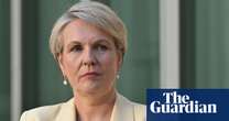 Environmental groups apply to take Tanya Plibersek to high court over coalmine approvals