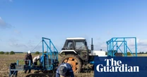 Tuesday briefing: How ‘climateflation’ is pushing food prices ever higher – and changing how we eat
