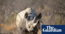 Namibia deploys army to fight wildfire burning third of Etosha game reserve