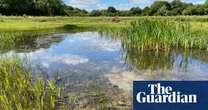 Push to identify ‘priority ponds’ in UK that are refuges for plants and animals