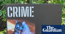 The cat mayoral race: meet 11 runners and riders in the US’s most furious – and furriest – election