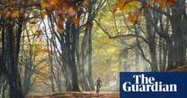 Share a tip on your favourite forest escapes in the UK