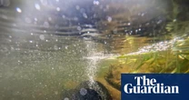 Millions of households face jump in water bills after regulator backs more price rises