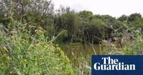 Developers encroach on 2,000-year-old Devon wetland citing ‘blockages’ to Labour’s housing plans