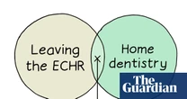 From leaving the ECHR to home dentistry: Edith Pritchett’s week in Venn diagrams – cartoon