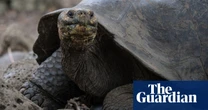 Nuclear pests, Hockney’s best and dozens of swimming tortoises – take the Thursday quiz