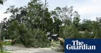 10m trees to be planted in US to replace ones destroyed by hurricanes