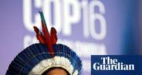 Cop16 ends in disarry and indecision despite biodiversity breakthroughs