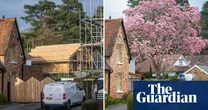 ‘Britain’s tallest magnolia tree’ cut down because of fears it would fall