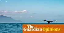 New Zealand is failing to protect its vast ocean resources. We owe it to the world to act | Helen Clark and Kayla Kingdon-Bebb