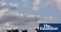 Gabrielle Chan on farmers managing fuel and fertiliser shortages during a war - podcast