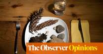 Sure, Google’s AI overviews could be useful – if you like eating rocks | John Naughton