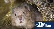 Less than 1% of UK biosecurity budget goes on tackling invasive species, figures show