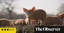 Wilding review – a biodiversity success story in West Sussex