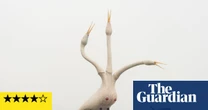 Mutant seabirds, sewer secrets and a lick of art ice-cream: Folkestone Triennial review