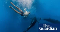 Swim with the fishes: is tuna tourism just a bit of harmless holiday fun?
